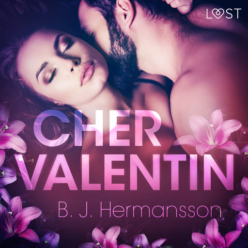 Cher Valentin – Une nouvelle érotique, B.J. Hermansson