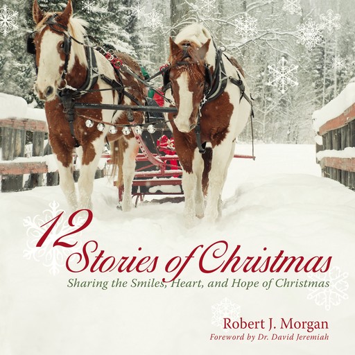 12 Stories of Christmas, Robert Morgan