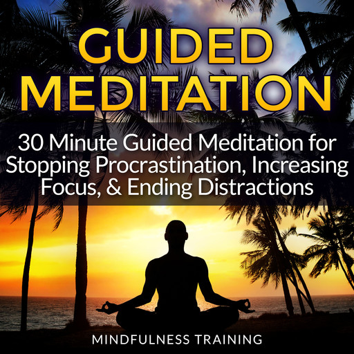 Guided Meditation: 30 Minute Guided Meditation for Stopping Procrastination, Increasing Focus, & Ending Distractions (Deep Sleep Self Hypnosis, Law of Attraction Affirmations, Anxiety & Stress Relief, Guided Imagery & Relaxation Techniques), Mindfulness Training