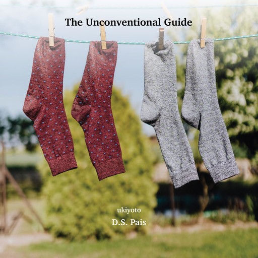 The Unconventional Guide, D.S. Pais