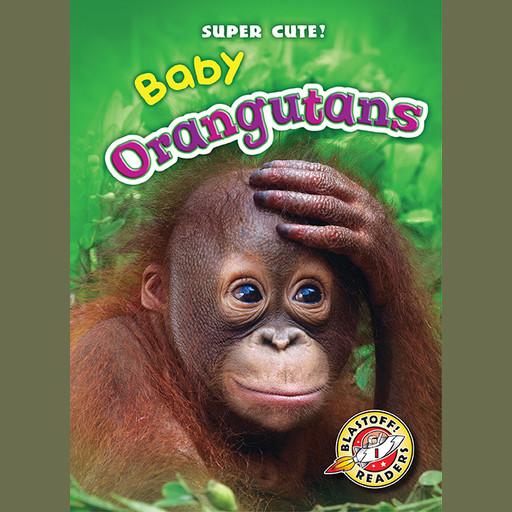 Baby Orangutans, Christina Leaf
