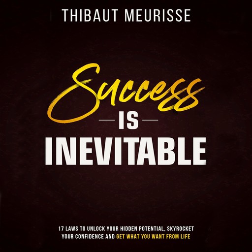 Success is Inevitable, Thibaut Meurisse
