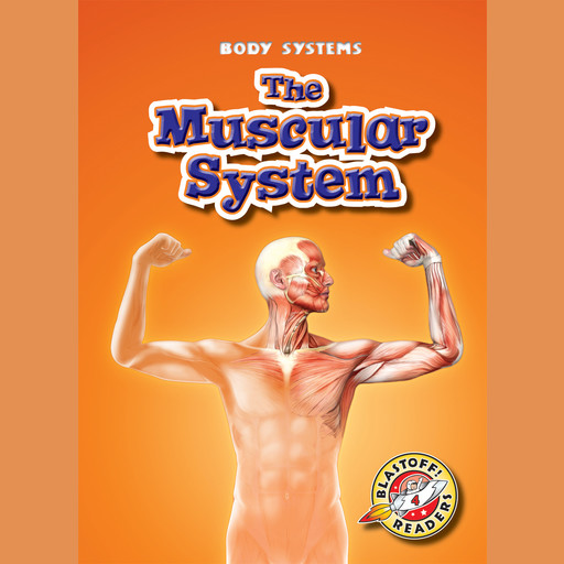 Muscular System, The, Kay Manolis
