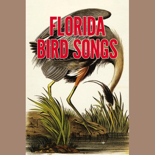 Florida Bird Songs, Donald J. Borror, Maurice L. Glitz
