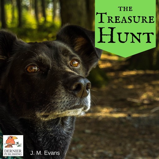 The Treasure Hunt, J.M. Evans