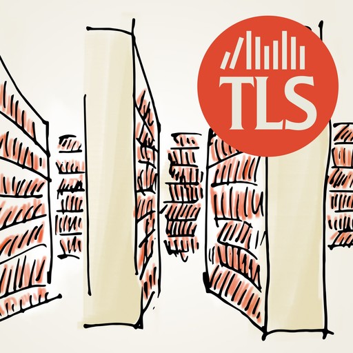 What to read this summer: an almost-legendary TLS special edition, 