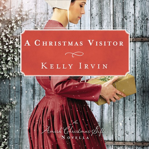 A Christmas Visitor, Kelly Irvin