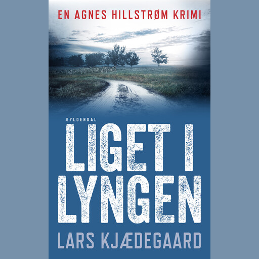 Liget i lyngen, Lars Kjædegaard