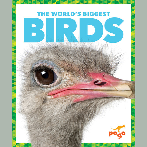 The World's Biggest Birds, Mari Schuh