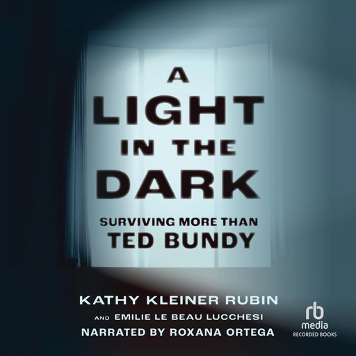 A Light in the Dark, Emilie Le Beau Lucchesi, Kathy Kleiner Rubin