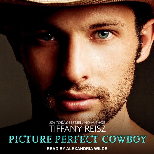 Picture Perfect Cowboy, Tiffany Reisz