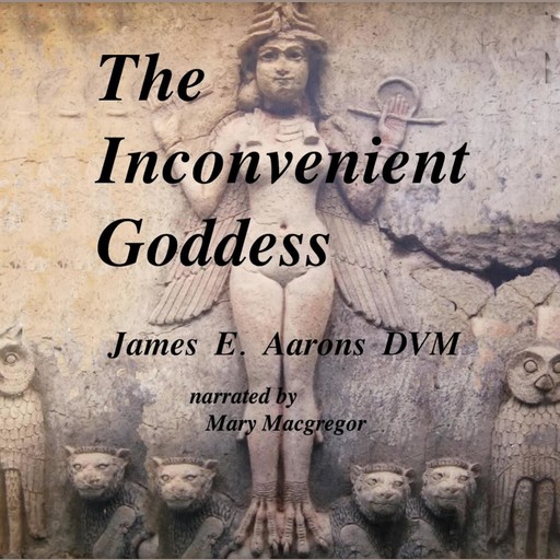 The Inconvenient Goddess, James E Aarons DVM, The ADHD, Veterinarian