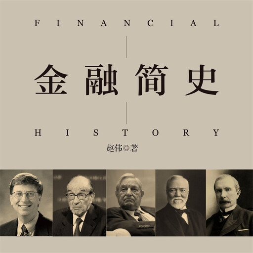 金融简史, 赵伟