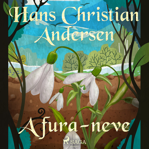 A fura-neve, Hans Christian Andersen