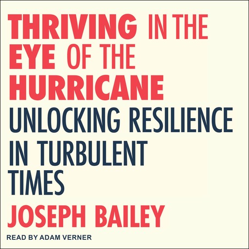 Thriving in the Eye of the Hurricane, Michael Neill, Joseph Bailey