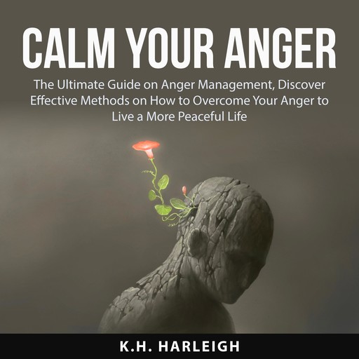 Calm Your Anger, K.H. Harleigh