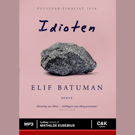 Idioten, Elif Batuman