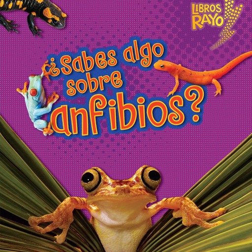 ¿Sabes algo sobre anfibios? (Do You Know about Amphibians?), Buffy Silverman