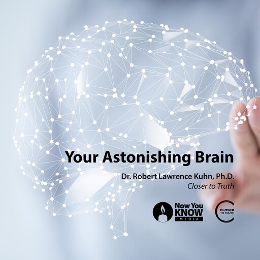 Your Astonishing Brain, Robert Lawrence Kuhn