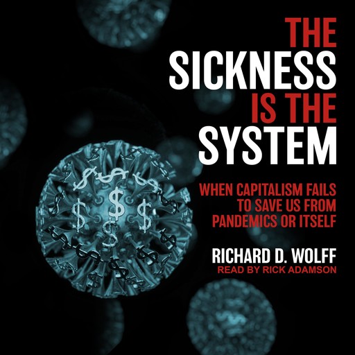 The Sickness is the System, Richard D. Wolff