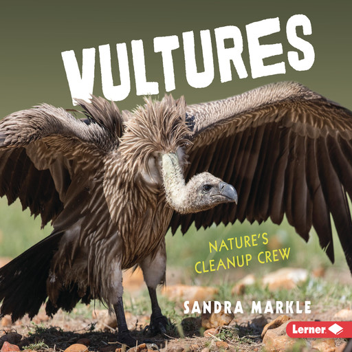 Vultures, Sandra Markle