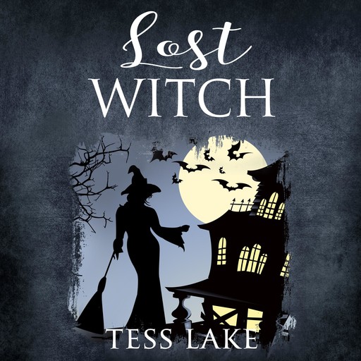 Lost Witch (Torrent Witches Cozy Mysteries Book 9), Tess Lake