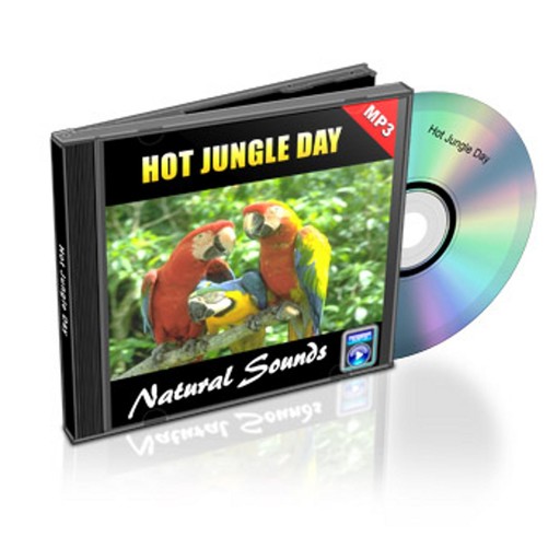 Hot Jungle Day - Relaxation Music and Sounds, Empowered Living