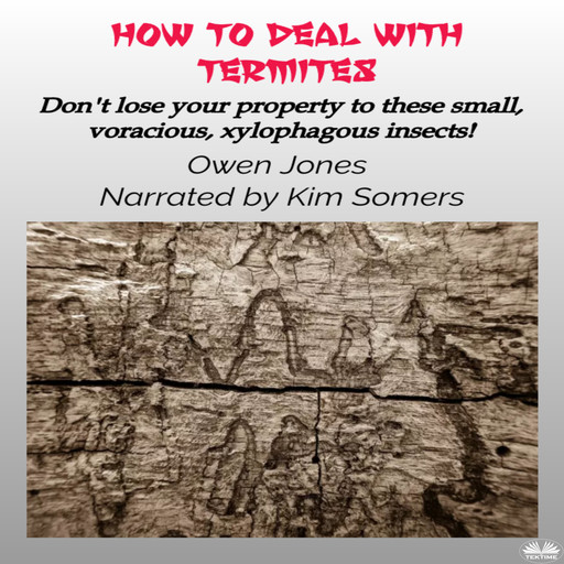 How To Deal With Termites-Don'T Lose Your Property To These Small, Voracious, Xylophagous Insects!, Owen Jones