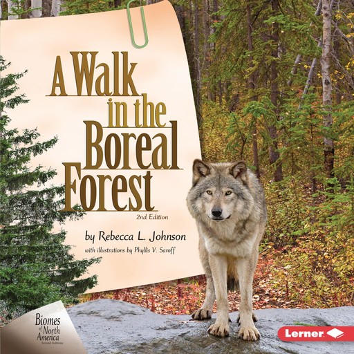 A Walk in the Boreal Forest, 2nd Edition, Rebecca Johnson