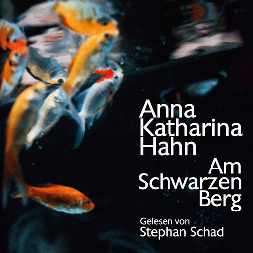 Am schwarzen Berg, Anna Katharina Hahn