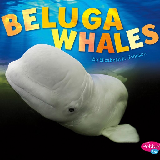 Beluga Whales, Elizabeth Johnson