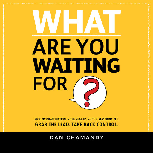 What Are You Waiting For, Dan Chamandy