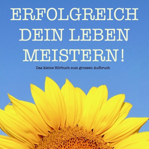 Erfolgreich dein Leben meistern! Das kleine Hörbuch für mehr Erfolg, Patrick Lynen