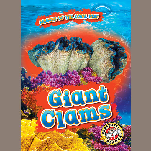 Giant Clams, Kate Moening