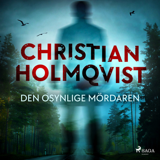 Den osynlige mördaren, Christian Holmqvist