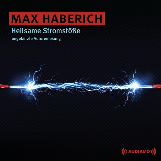 Heilsame Stromstöße, Max Haberich