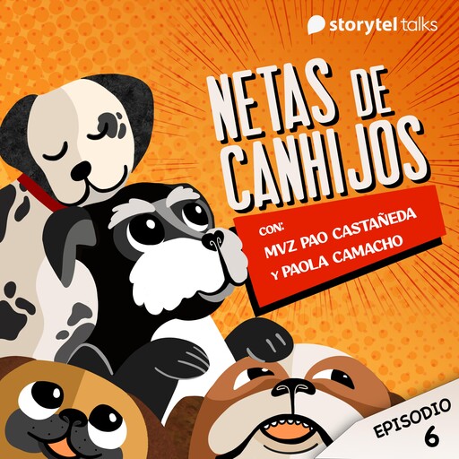 ¿Realmente estoy cuidando bien de mi perro?, Paola Marisol Castañeda Campos