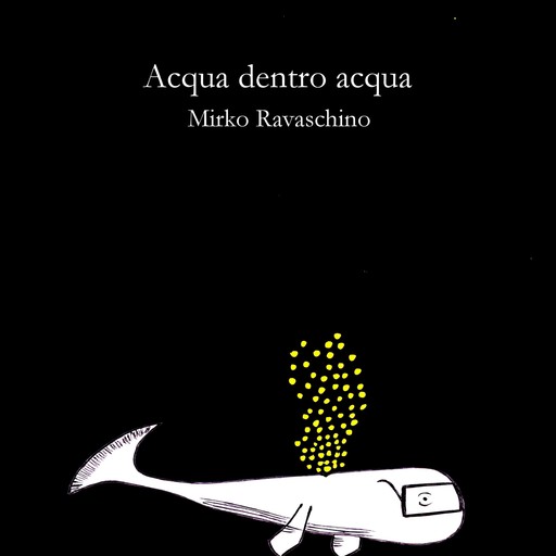 Acqua dentro acqua, Mirko Ravaschino