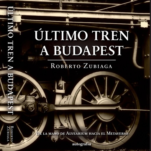 Último tren a Budapest, Roberto Zubillaga