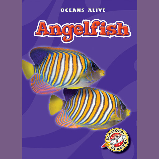 Angelfish, Colleen Sexton