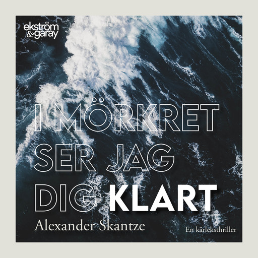 I mörkret ser jag dig klart, Alexander Skantze