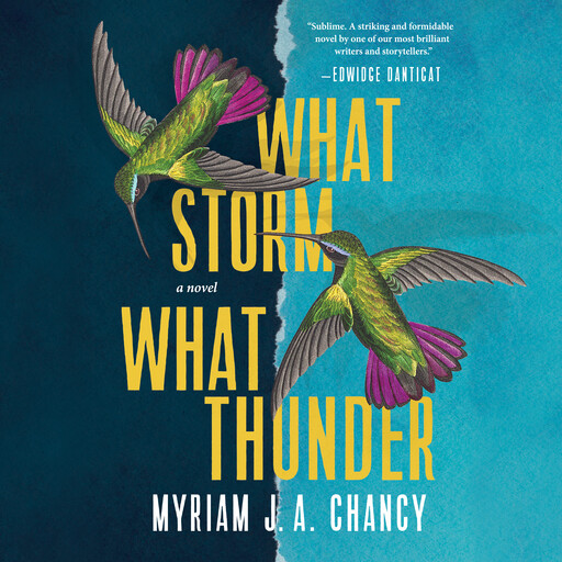 What Storm, What Thunder, Myriam J.A. Chancy