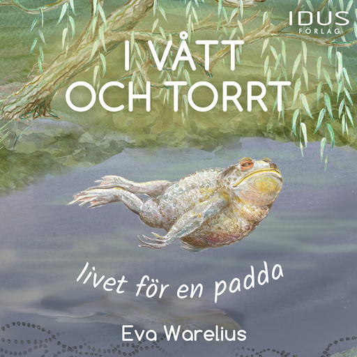 I vått och torrt : livet för en padda, Eva Warelius