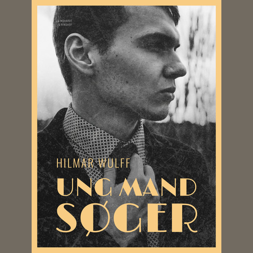 Ung mand søger, Hilmar Wulff