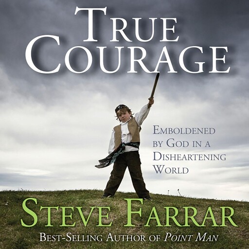 True Courage, Steve Farrar
