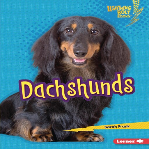 Dachshunds, Sarah Frank