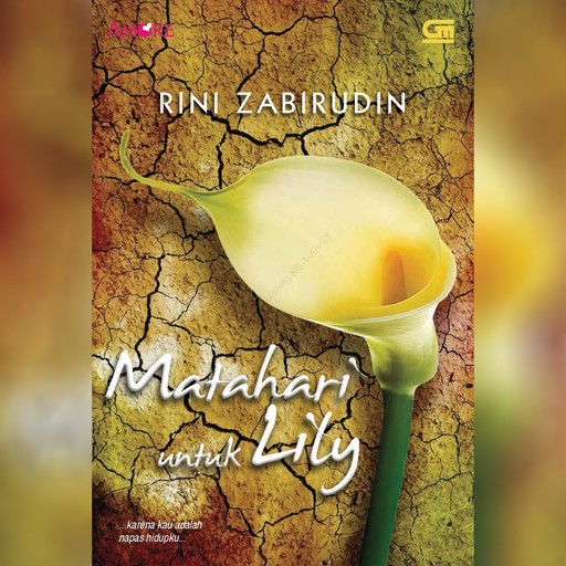 Matahari untuk Lily, Rini Zabirudin