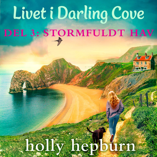 Livet i Darling Cove 3: Stormfuldt hav, Holly Hepburn