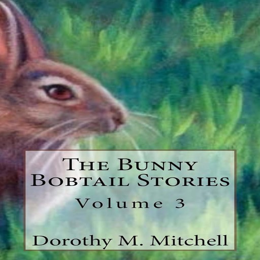 The Bunny Bobtail Stories, Dorothy M. Mitchell
