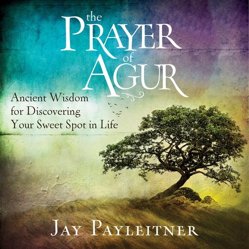 The Prayer of Agur, Jay Payleitner